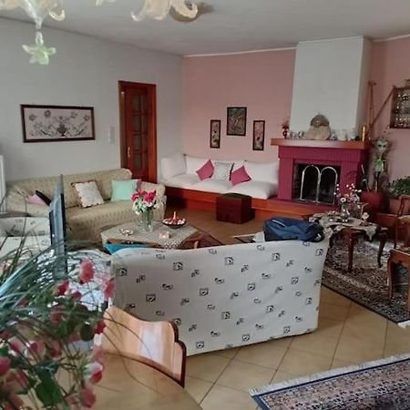 Διαμέρισμα Τριών Υπνοδωμάτιων. Ioannina Exterior photo